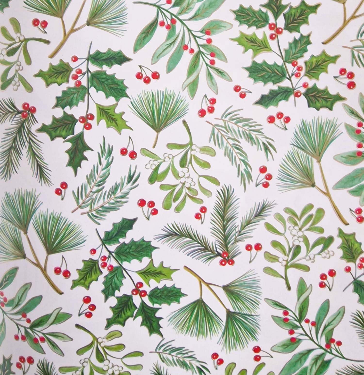 Winter Branches Tissue Paper The Pack Stock