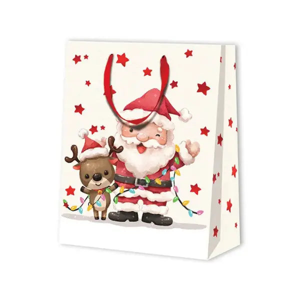 Christmas bag SANTA LARGE