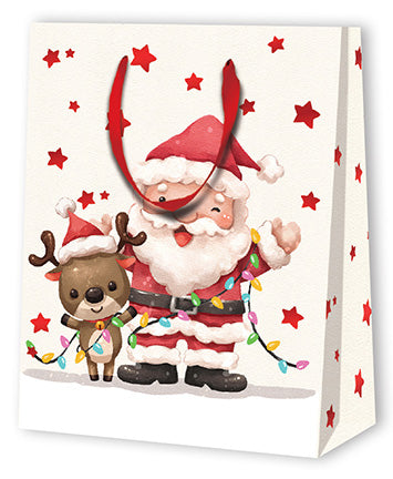Christmas bag SANTA The Pack Stock