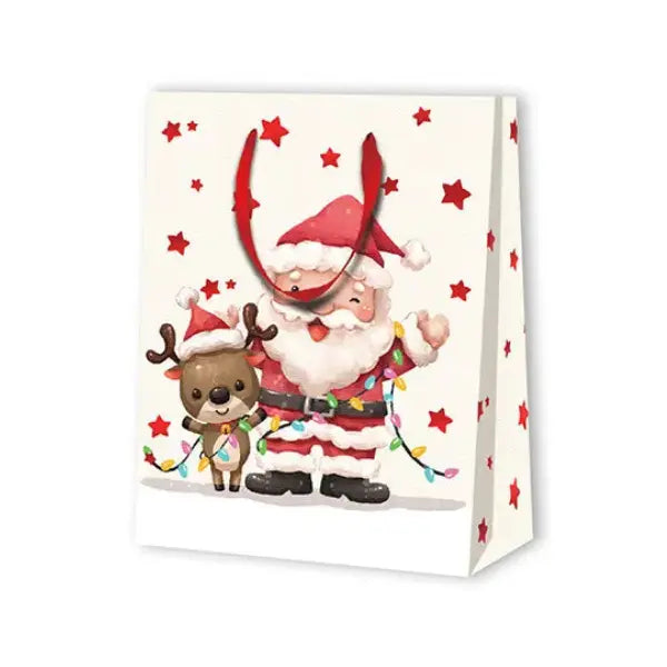 Christmas bag SANTA