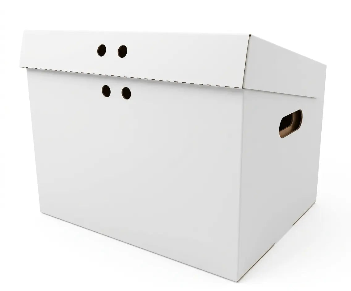 Archival Storage Box