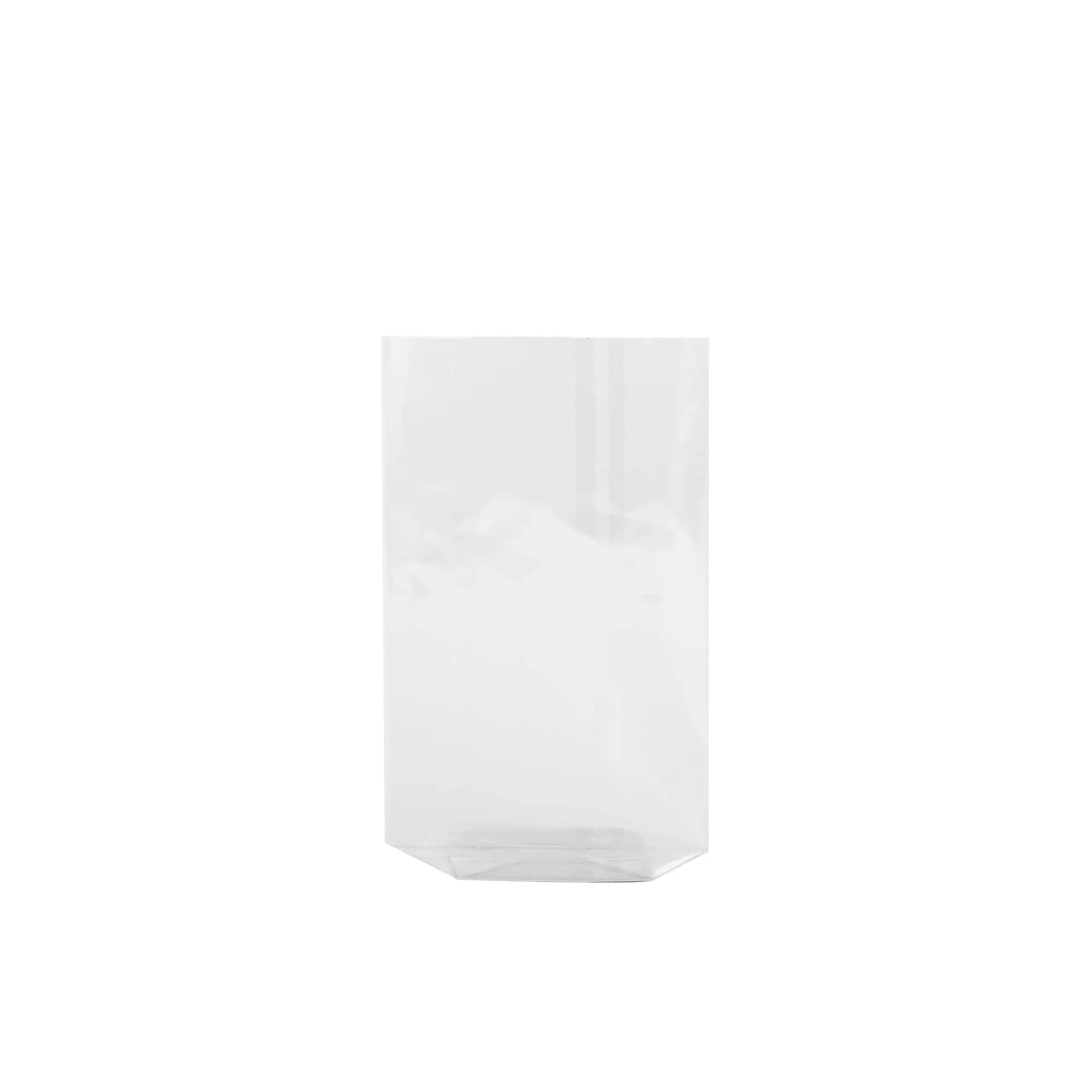 Cellophane Bag - 100 x 180mm.