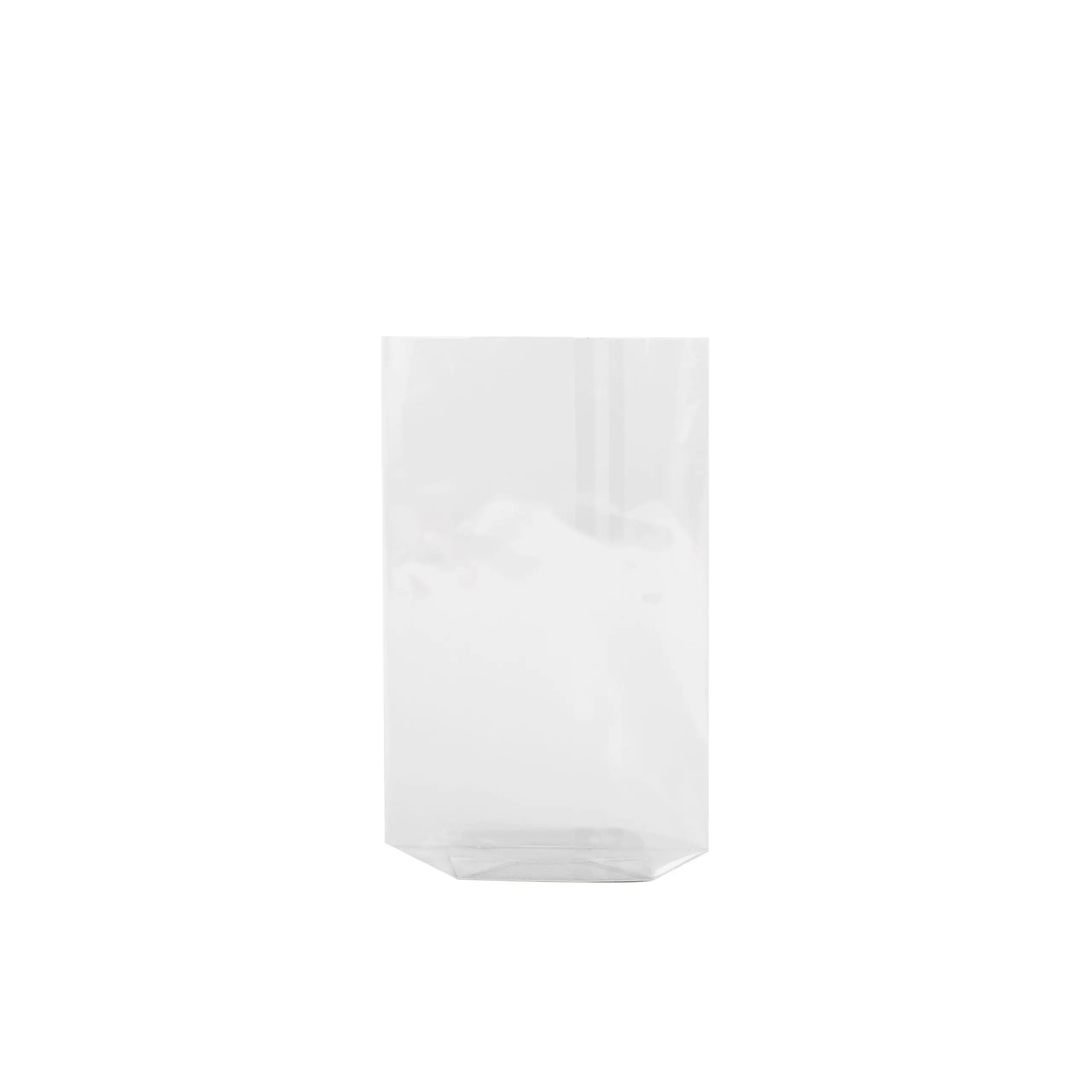 Cellophane Bag - 100 x 180mm.