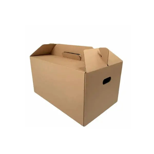 Double Wall Carrier Box DC21 - 425 x 265 x 215mm
