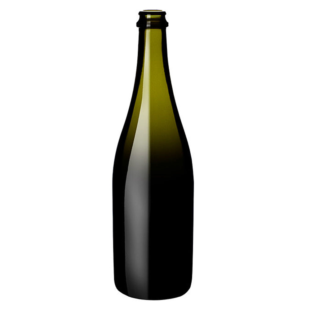 Sparkling Wine Bottle Green 750ml The Pack Stock