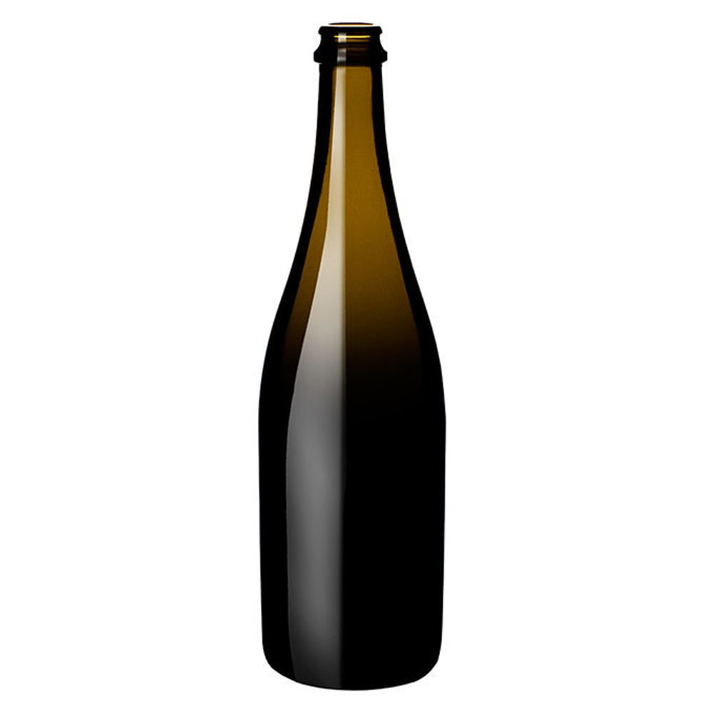 Sparkling Wine Bottle Antique Green 750ml The Pack Stock