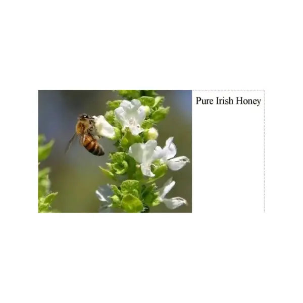 Honey Label 4